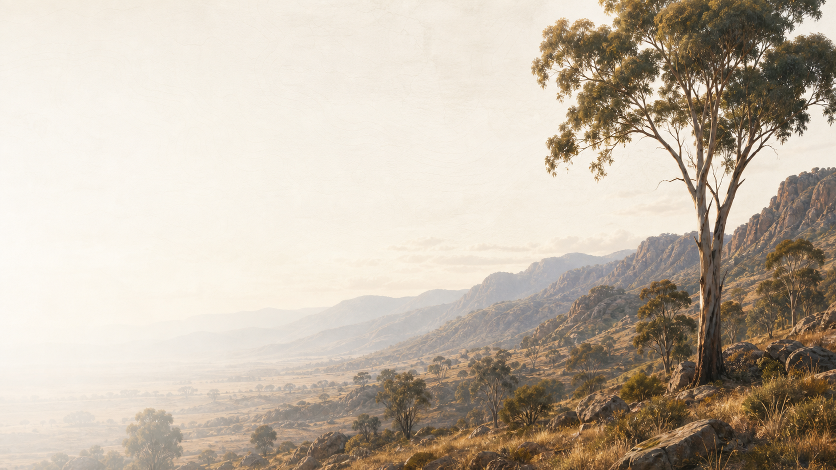 A warm Australian landscape with gum trees and distant hills.